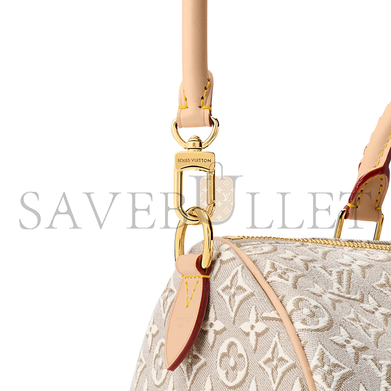 LOUIS VUITTON MASTER SPEEDY SOFT 30 M28479 (30*21*17cm)